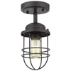 Golden Lighting Seaport 4 3/4" Wide Black Convertible Pendant/ceiling Light In Black