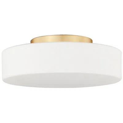 Golden Lighting Toli 12" Champagne And Opal Glass Led Ceiling Light