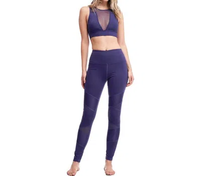 Goldhaus Moto Rider Leggings In Violet In Blue