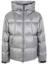 Goldwin Pertex Quantum Down Parka In Gray