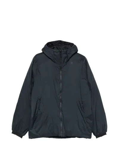 Goldwin Hooded Jacket In Blue