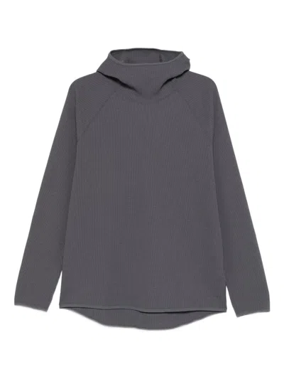 Goldwin Long-sleeves Hoodie In Gray