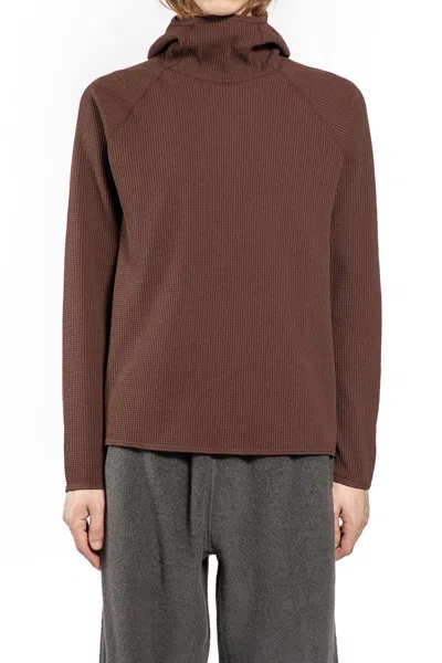 Goldwin Sweatshirts In Brown