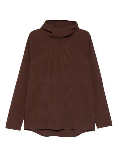 Goldwin Wf Light Long-sleeve Hoodie In Brown