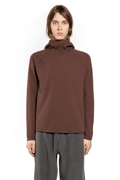 Goldwin Wf Light L/s Hoodie In Brown