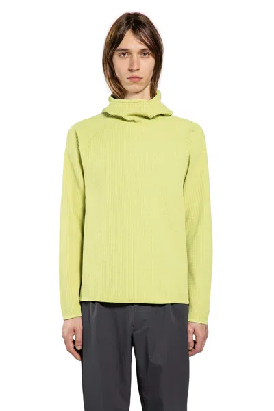 Goldwin Wf Light L/s Hoodie In Green
