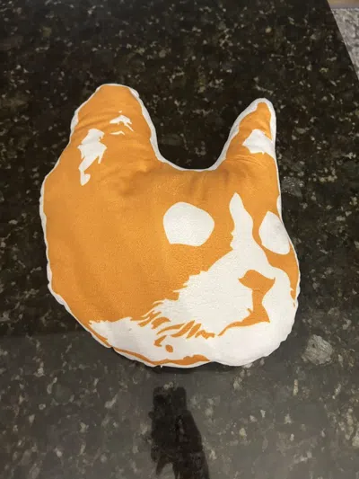 Pre-owned Golf Wang Camp Flog Gnaw Kill Cat Pillow In Orange