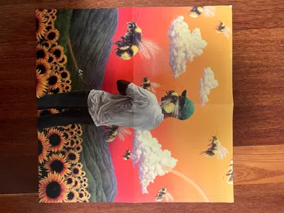 Pre-owned Golf Wang X Tyler The Creator Golf Wang Flower Boy Square Album Poster In Orange