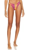 Gonza Cheeky Bikini Bottom In Violeta