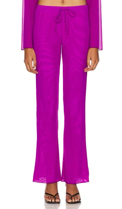 Gonza Wide Leg Pants In Purple