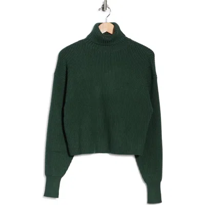 Good American Cozy Rib Turtleneck Sweater In Green