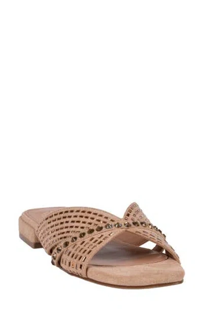 Good Choice New York Elara Embellished Slide Sandal In Brown