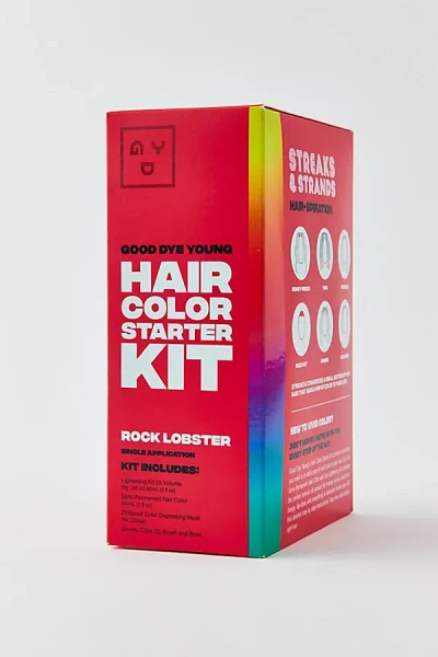 Good Dye Young Hair Color Starter Kit In Red At Urban Outfitters