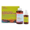 Good Molecules Blemish Scar & Discoloration Duo