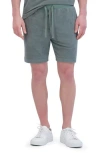 Goodlife Clothing Volley Short In Laurel