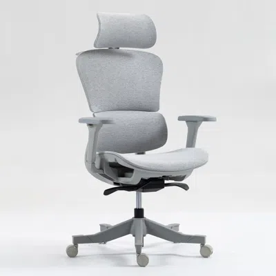 Goodsilo Ergonomic High Back Mesh Office Chair In Multi