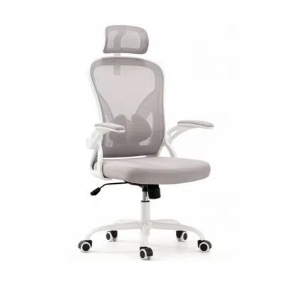 Goodsilo Ergonomic High Back Office Chair With Adjustable Support In Neutral