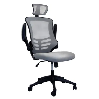 Goodsilo Modern High-back Mesh Executive Office Chair In Gray