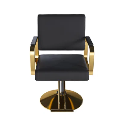 Goodsilo Professional Salon Chair With 360 Swivel And Hydraulic Pump
