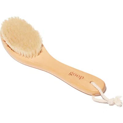 GOOP GOOP ULTIMATE DRY BRUSH