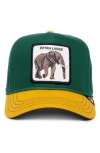 Goorin Bros . Extra Large Elephant Patch Snapback Hat