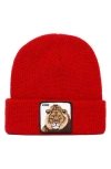 Goorin Bros . Jungle Jangle Lion Patch Beanie In Red