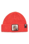 Goorin Bros . The Strength Beanie In Blue