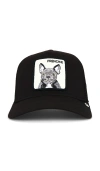 Goorin Brothers Frenchie Trucker Hat In Black
