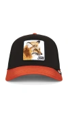 Goorin Brothers Good Looks Fox Trucker Hat In Black