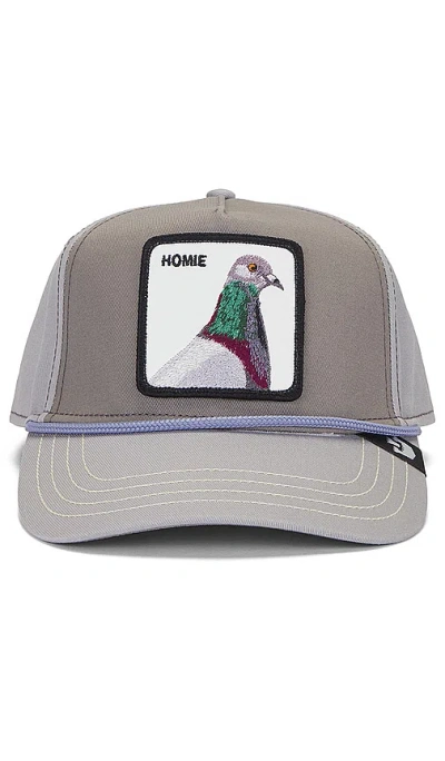 Goorin Brothers Pigeon Hat In Grey