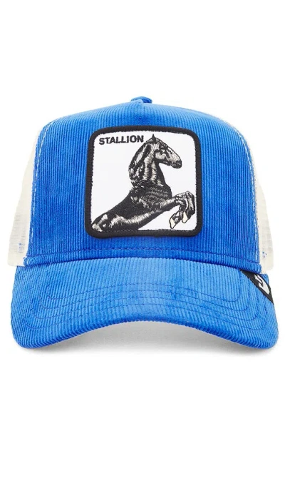 Goorin Brothers Sly Stallion Hat In 蓝色