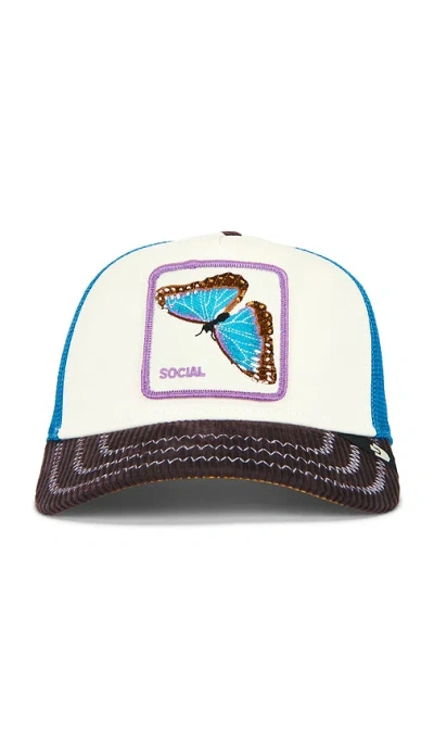 Goorin Brothers Social Remix Trucker Hat In Pink
