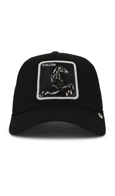 Goorin Brothers Stallion Trucker Hat In Black