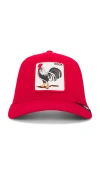 Goorin Brothers The Cock Hat In Red