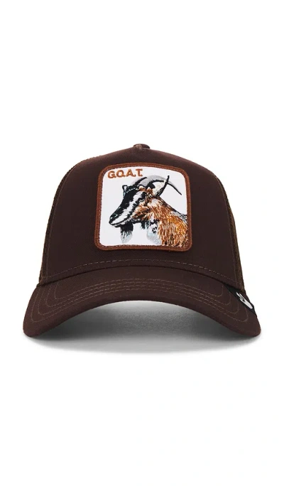 Goorin Brothers The Goat Hat In Brown