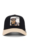 Goorin Brothers The Guard Dog Hat In Black