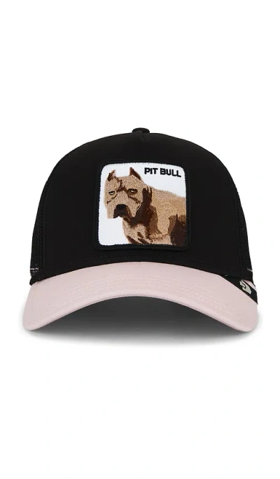 Goorin Brothers The Pitbull Trucker Hat In Black