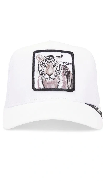 Goorin Brothers The White Tiger Hat In 白色