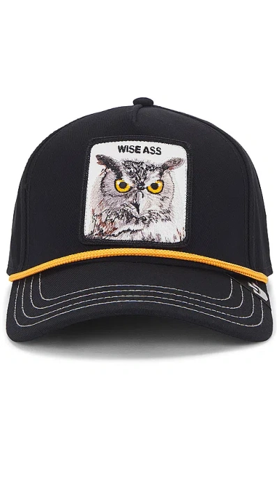Goorin Brothers Wise Owl Hat In Black