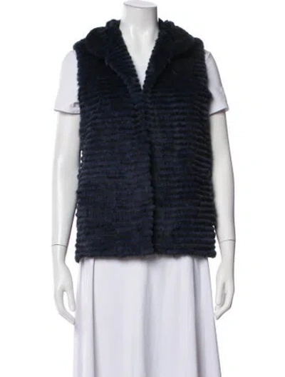 Pre-owned Gorski Fur Vest In Blue