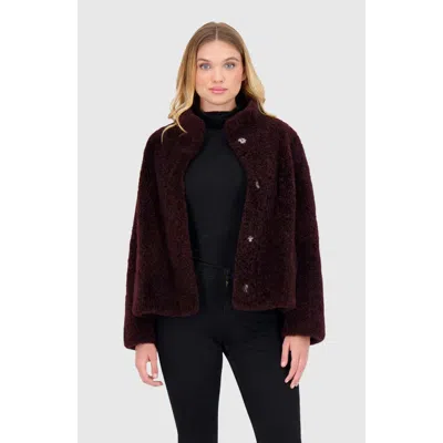 Gorski Sheared Cashmere Goat Jacket In Burgundy