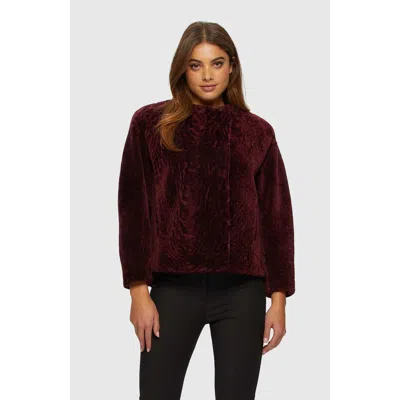 Gorski Shearling Lamb Collarless Jacket In Merlot