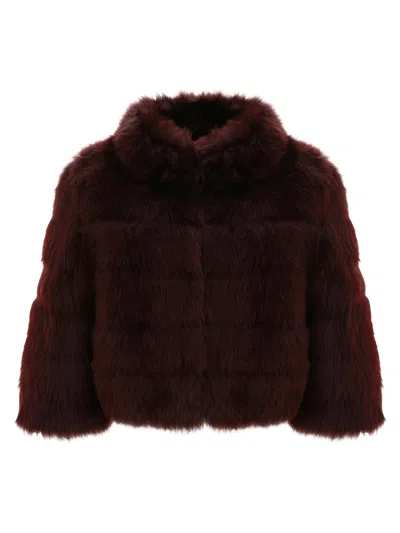 Gorski Women's Merinillo Shearling Lamb Bolero In Burgundy