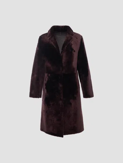 Gorski Women's Reversible Merino Shearling Lamb Short Coat In Purple