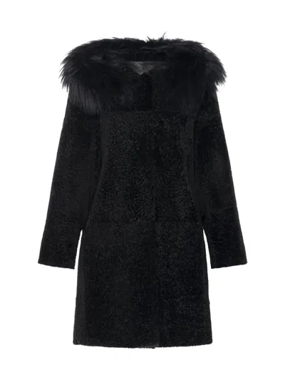 Gorski Women's Reversible New Zealand Shearling Lamb Stroller With Select Mongolian Lamb Hood Trim In Black