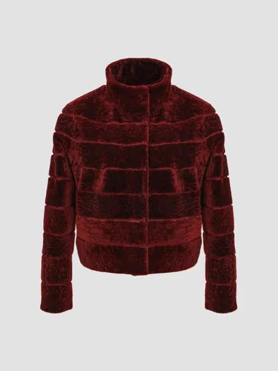 Gorski Women's Reversible Textured Shearling Lamb Jacket In Burgundy