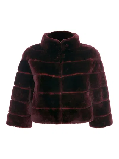 Gorski Women's Shearling Lamb Bolero Coat In Burgundy