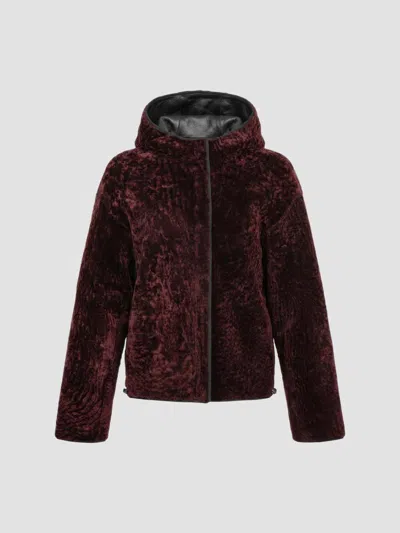 Gorski Women's Textured Shearling Lamb Jacket, Hood In Red