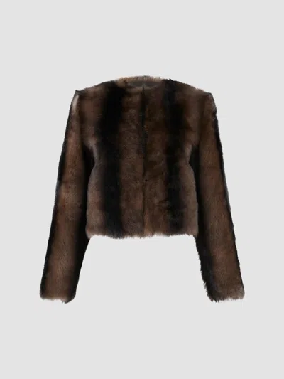 Gorski Women's Toscana Shearling Lamb Collarless Coat In Brown