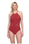 Gottex Day Dreamer High Neck Halter One Piece In Spice